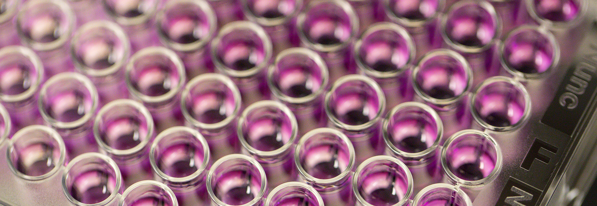 image of test tubes