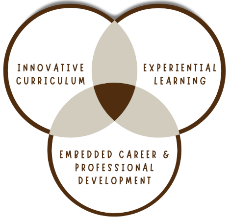 Venn diagram_Innovative Curriculum Experiential Learning Embedded Career and Professional Development