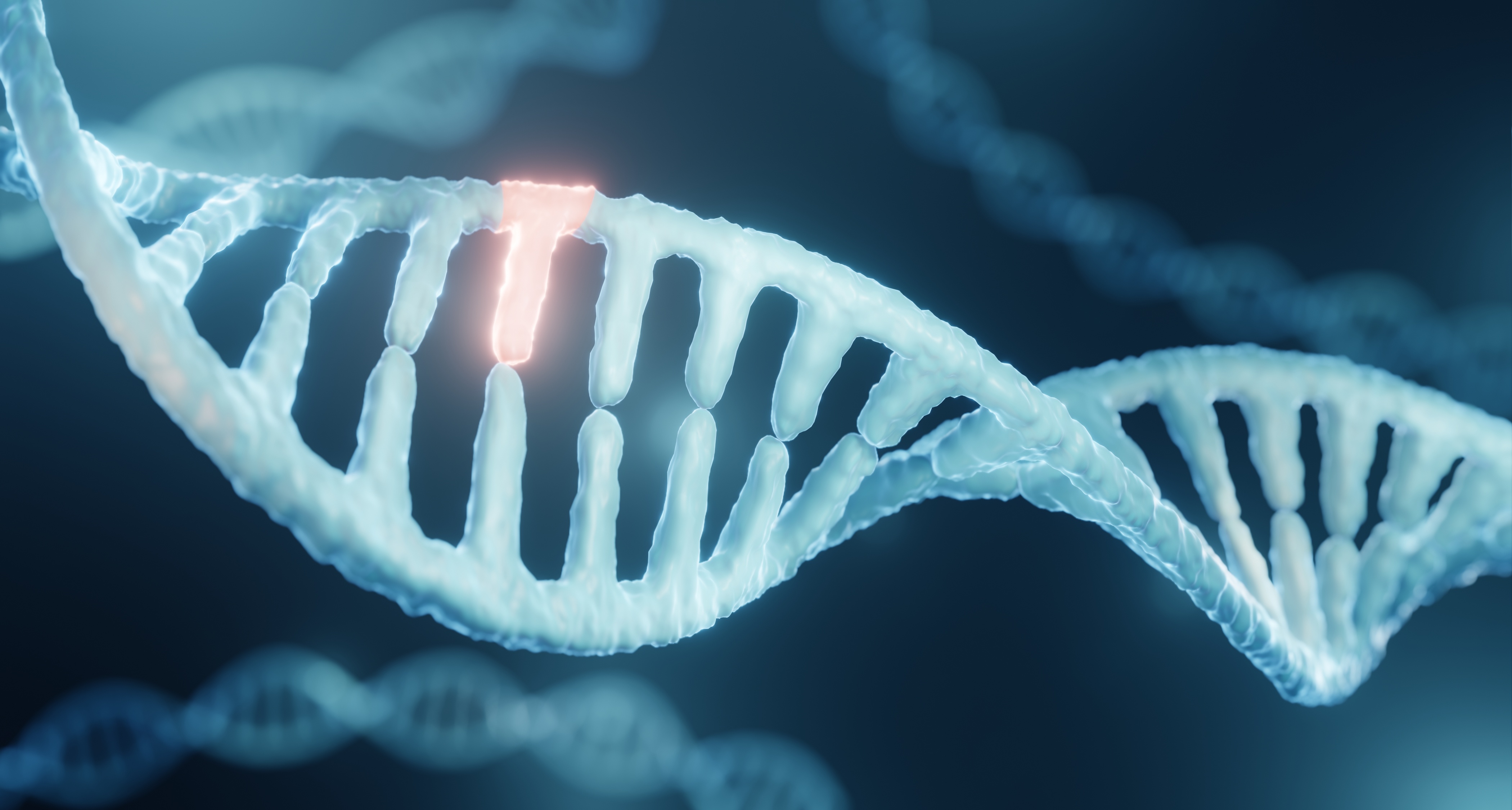 DNA strand with nucleotide/molecule highlighted